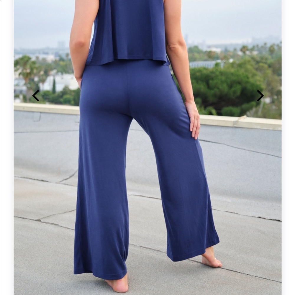 Fabletics pants